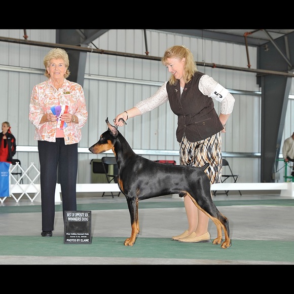 Meet your Posher, Carla - Picture 2 of 10